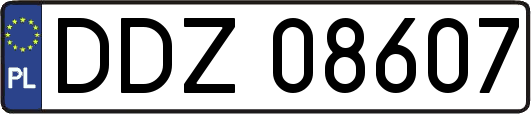 DDZ08607