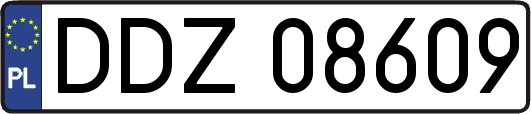 DDZ08609
