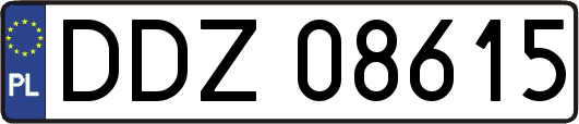 DDZ08615