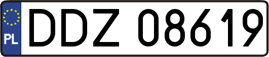 DDZ08619
