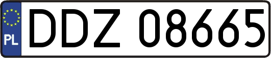 DDZ08665