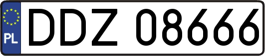 DDZ08666
