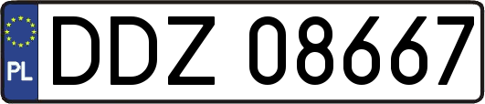 DDZ08667