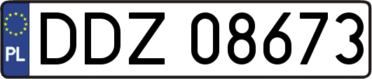 DDZ08673