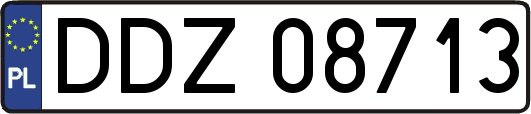DDZ08713