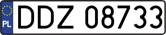 DDZ08733