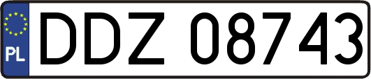 DDZ08743