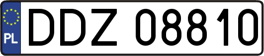DDZ08810