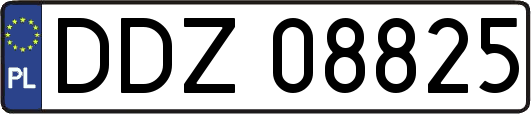 DDZ08825