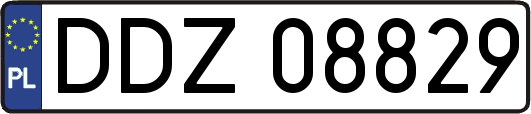 DDZ08829