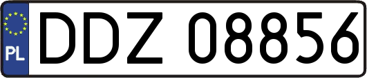 DDZ08856