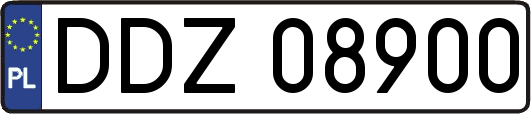 DDZ08900