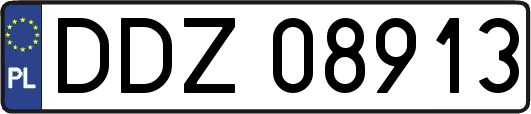 DDZ08913