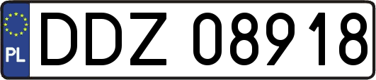 DDZ08918