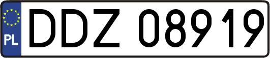 DDZ08919