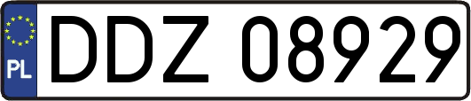 DDZ08929