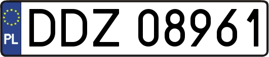 DDZ08961