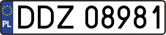 DDZ08981