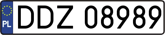 DDZ08989