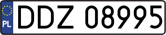 DDZ08995