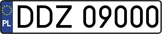 DDZ09000