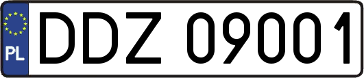 DDZ09001