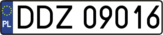 DDZ09016