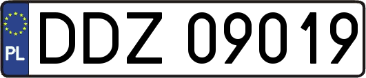 DDZ09019
