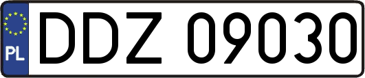 DDZ09030