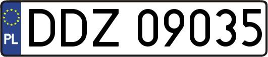 DDZ09035