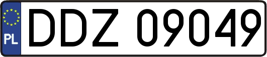DDZ09049
