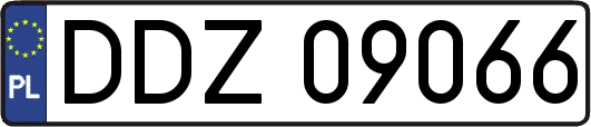 DDZ09066