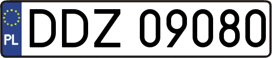 DDZ09080