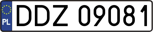 DDZ09081