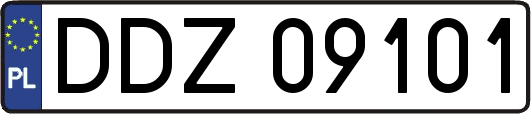 DDZ09101