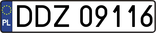 DDZ09116