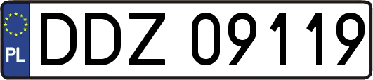 DDZ09119