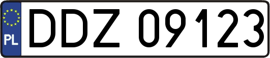 DDZ09123
