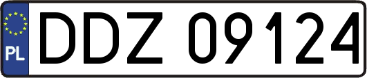 DDZ09124