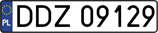 DDZ09129