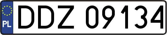 DDZ09134