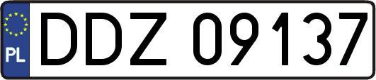 DDZ09137