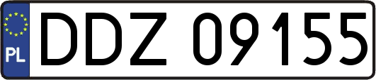 DDZ09155