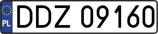 DDZ09160