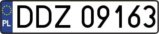 DDZ09163
