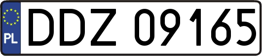 DDZ09165