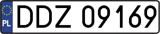 DDZ09169