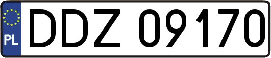 DDZ09170