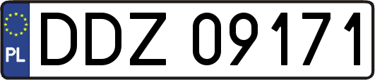 DDZ09171