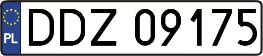 DDZ09175